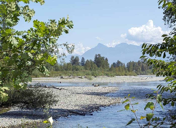 View of river with  Mt. Cheam in the distance